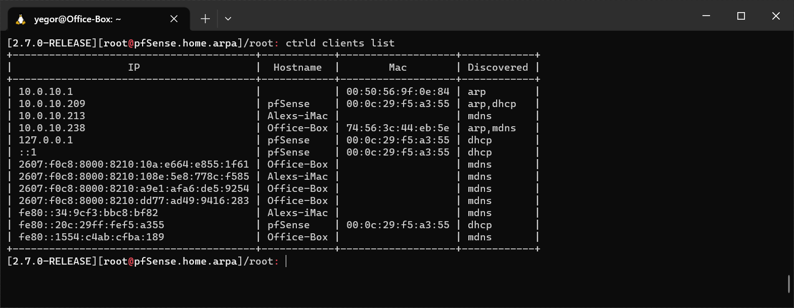 Screenshot of Router command line showing ctrld clients list