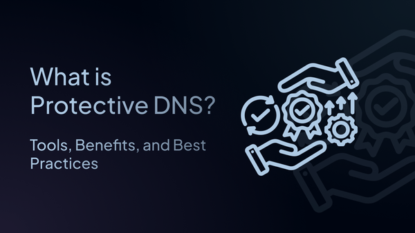 what is protective dns